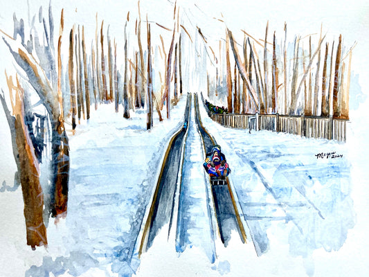 Pokagon State Park and the Toboggan Run