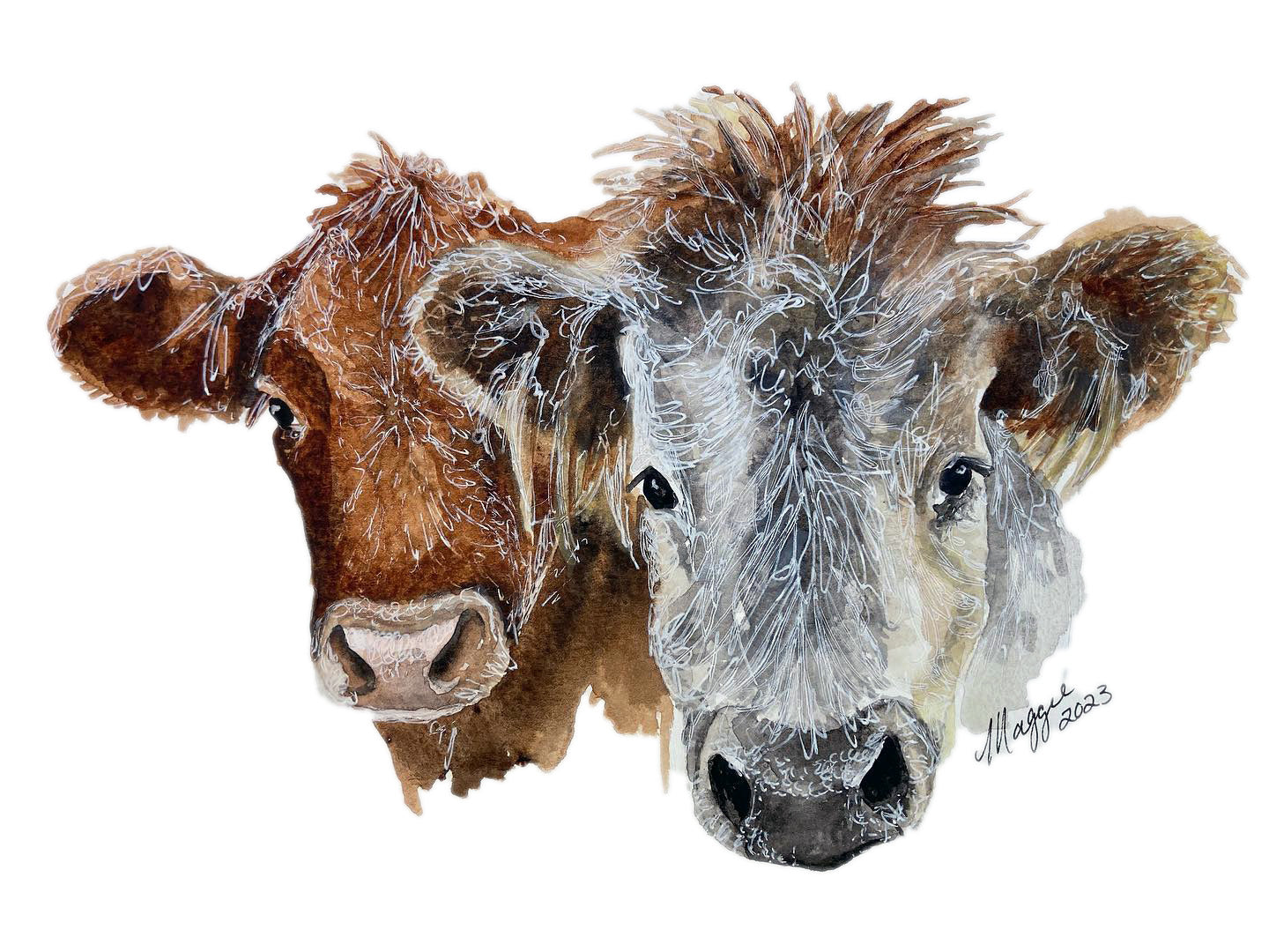 Animal Portraits