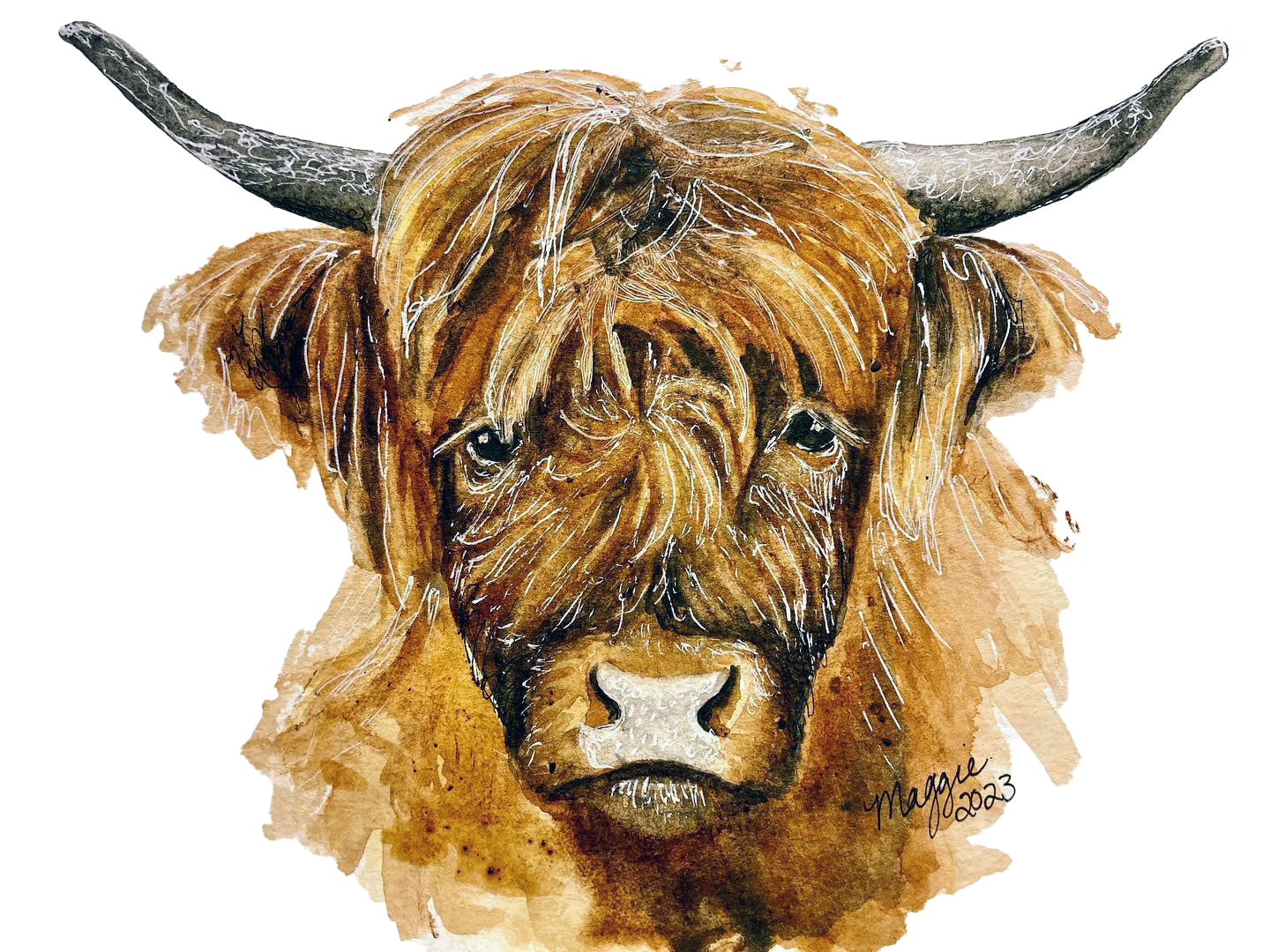 Animal Portraits