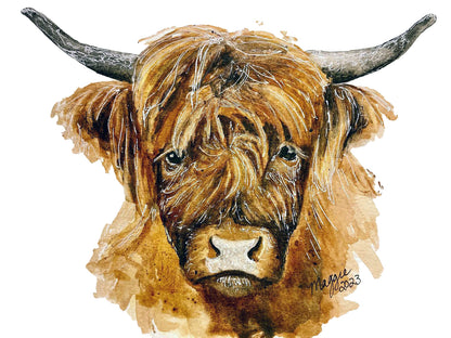 Animal Portraits