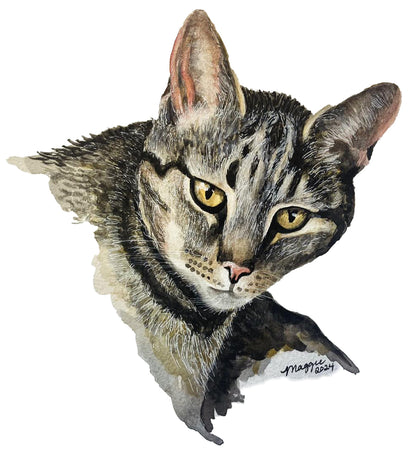 Animal Portraits