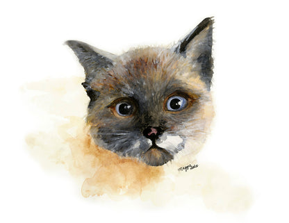 Animal Portraits