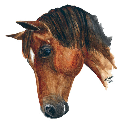 Animal Portraits