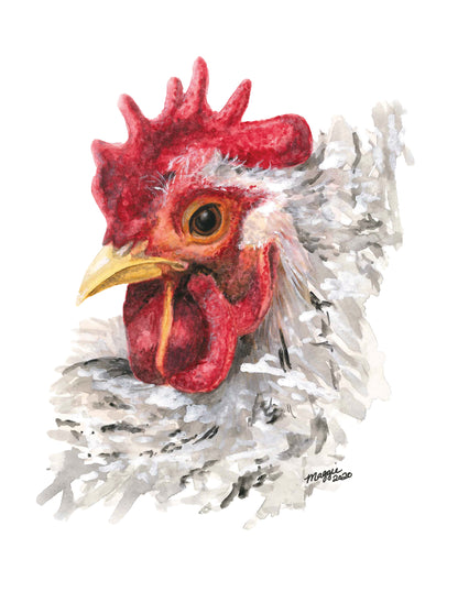 Animal Portraits