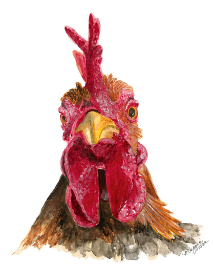 Animal Portraits