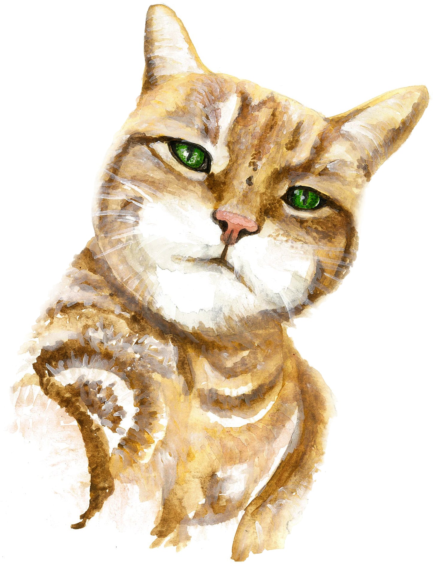 Animal Portraits