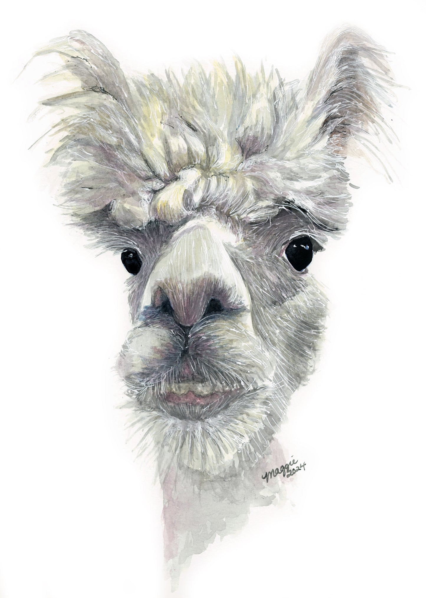Animal Portraits