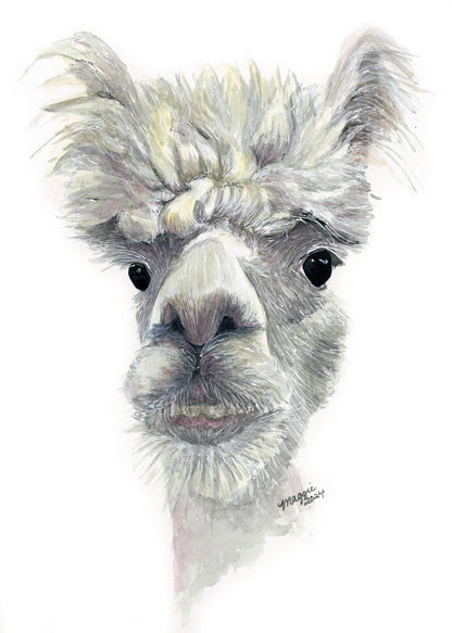 Animal Portraits