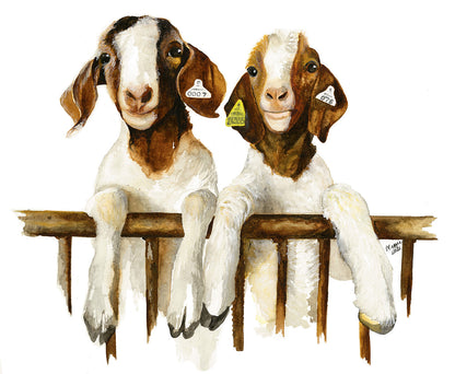 Animal Portraits