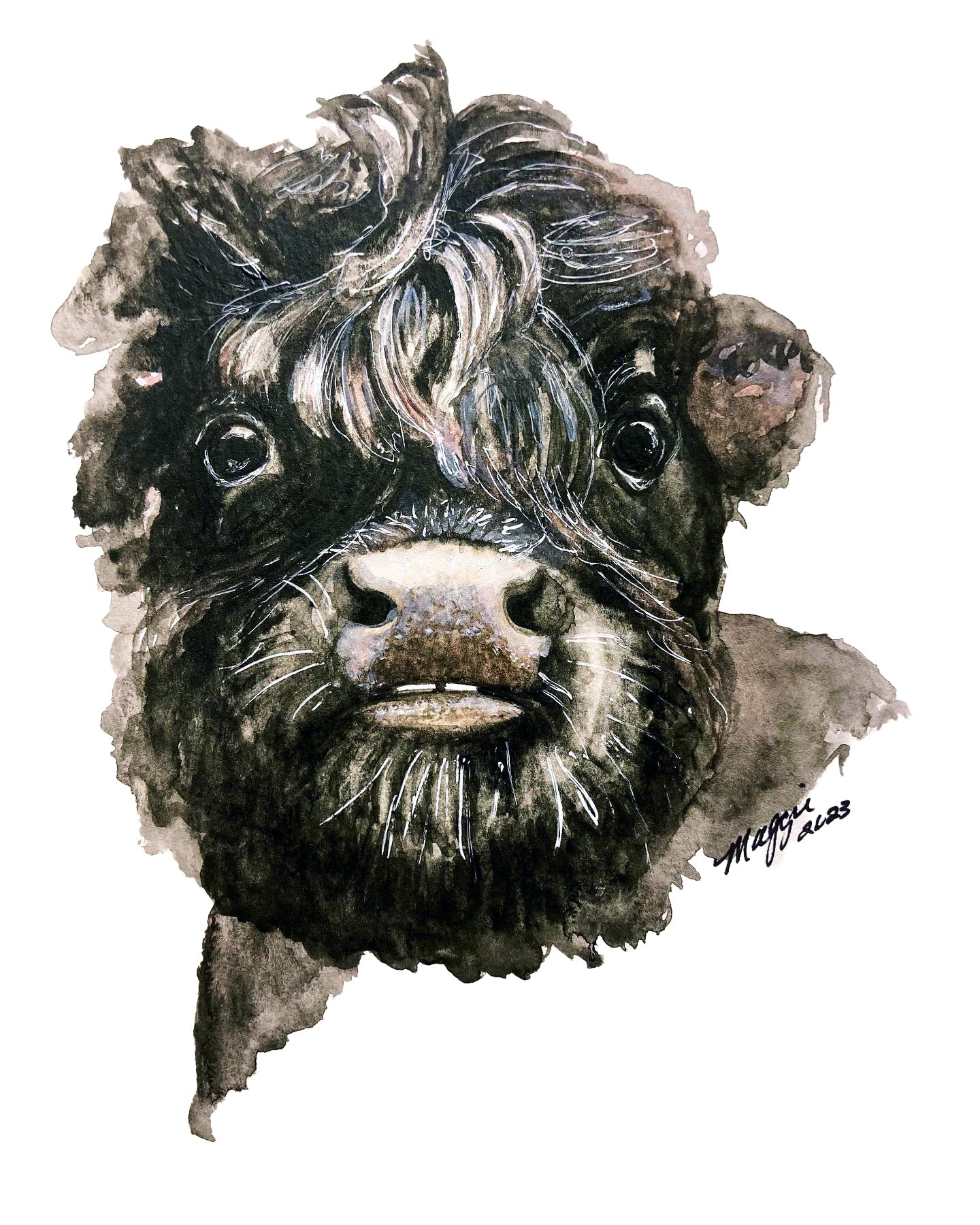 Animal Portraits