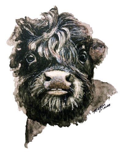Animal Portraits