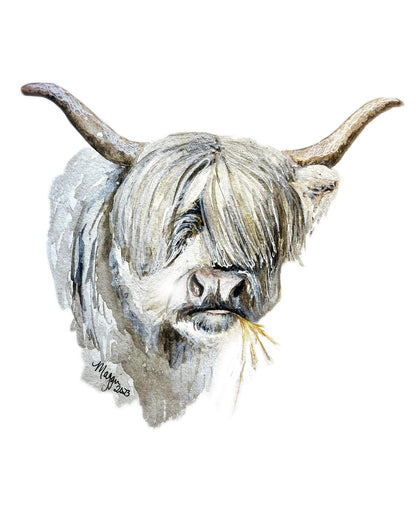 Animal Portraits