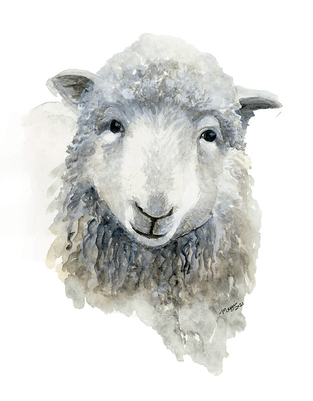 Animal Portraits
