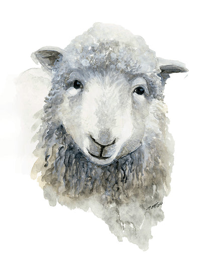 Animal Portraits